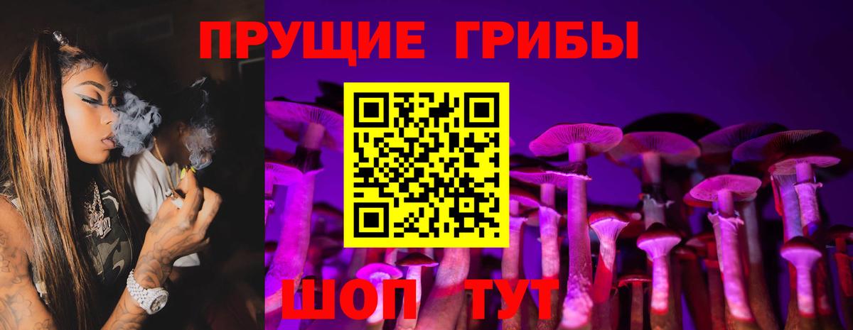 Курчатов  сколько стоит  Вход с VPN  Псилоцибиновые грибы Magic Shrooms  Галлюциногенные грибы Magic Shrooms 