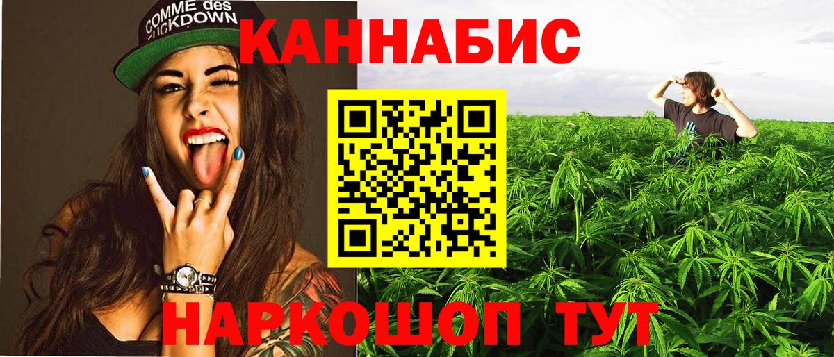 Шишки марихуана план Курчатов